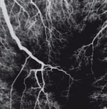 359 : The Path of Ayin